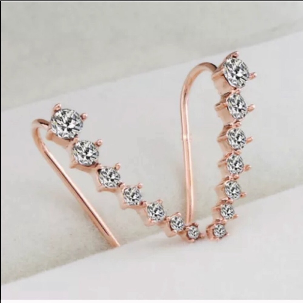 ✨Rose/White Gold Plated Earrings✨